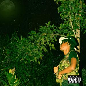 WWB (feat. Jenshina & BigAmk) (Explicit)