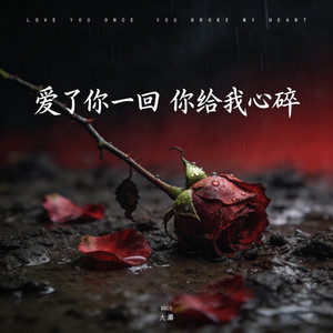 爱了你一回 你给我心碎