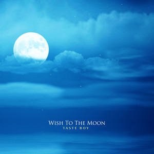 달에게 비는 소원 (Wish To The Moon)