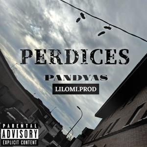 Perdices (feat. lilomiprod) [Explicit]