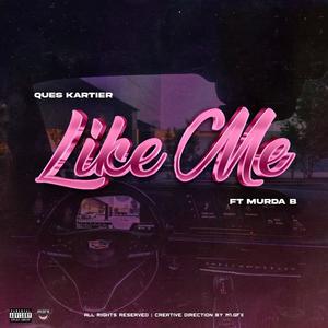 Like Me (feat. Murda B) (Explicit)