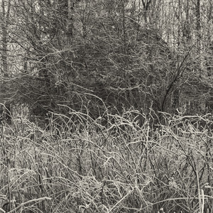 The Freedom of Others Extends Mine to Infinity