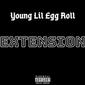 Extension