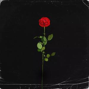 Flowers (feat. IknownAko) (Explicit)