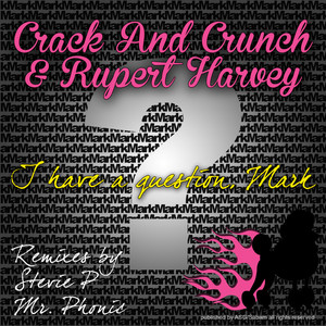 I Have a Question, Mark ! (Stevie P Remix)