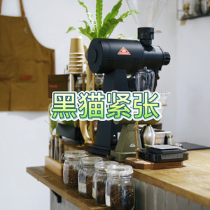 黑猫紧张 (炫舞版)