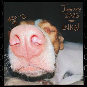 01.31.25.WAV