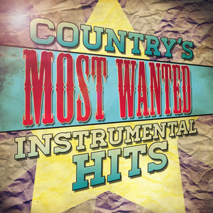 Country's Most Wanted Instrumental Hits