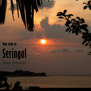 Uma Tarde No Seringal