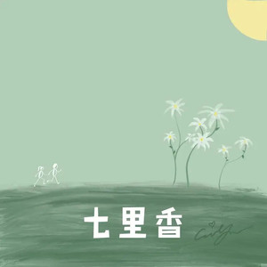 七里香前奏