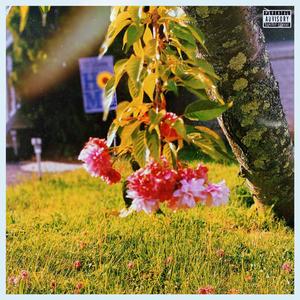 Cherry Blossum Growth With The Pink Lily (Explicit)