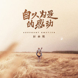 自以为是的感动