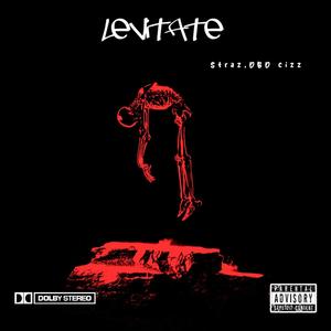 Levitate (slowed down) (feat. Straz & DBD cizz) [Explicit]