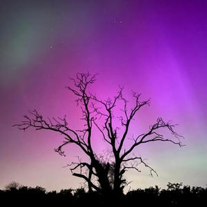 Kalkül (Studio Version)