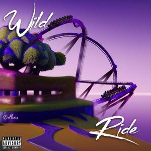 Wild Ride (Explicit)