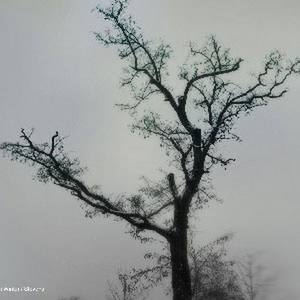 Stevens - 在想象中逃脱