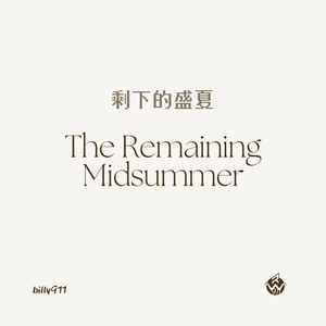剩下的盛夏