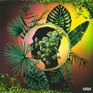 Body Pon Fire (feat. Validex) (Explicit)
