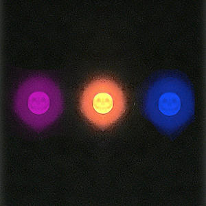 nickwitdaglo - PLANTIFFS (interlude) (Explicit)