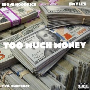 TOO MUCH MONEY (feat. Smylez) [Explicit]