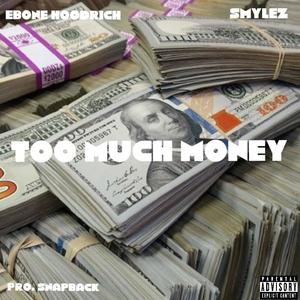 TOO MUCH MONEY (feat. Smylez) (Explicit)