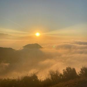 Limit! (feat. coffin candy)