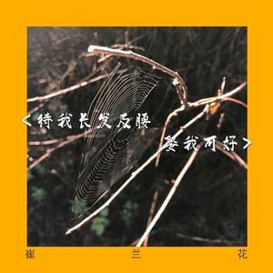 待我长发及腰 娶我可好