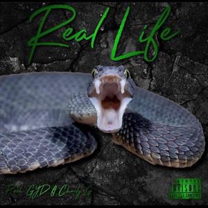 Real Life (Explicit)