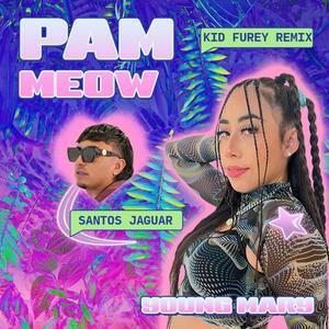 Pam Meow (Kid Fury Remix)