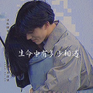 生命中有多少相遇