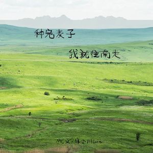 种完麦子我就往南走 (伴奏)