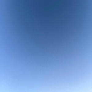 government checks (Explicit)