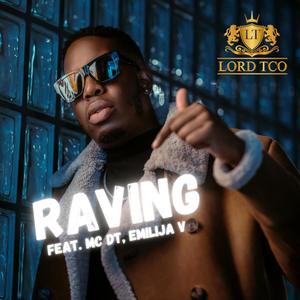 Raving (feat. Emilija V & MC DT)