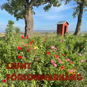 Ljumt Försommarhäng (Explicit)