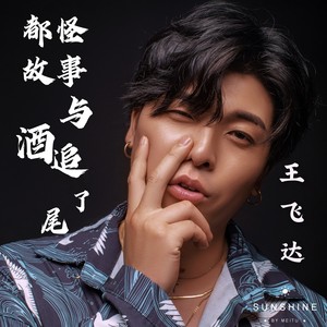 都怪故事与酒追了尾