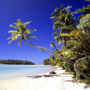 Disclosure (Explicit)