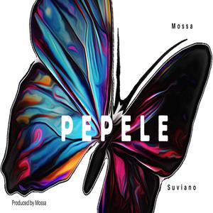 Pepele (feat. Suviano)