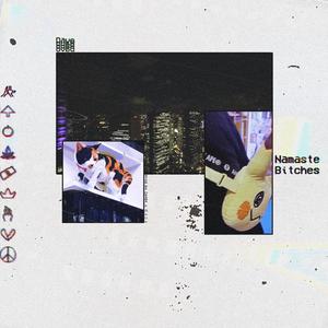 Namaste *****es (feat. Beatdings) (Single Edit)