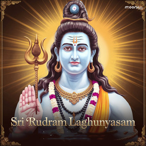 Sri Rudram Laghunyasam