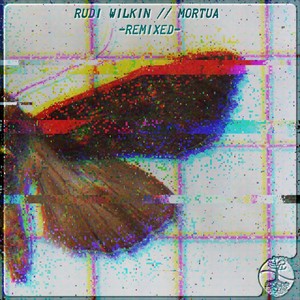 Vita (Alined Remix)