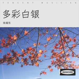 多彩白银 刘宁版
