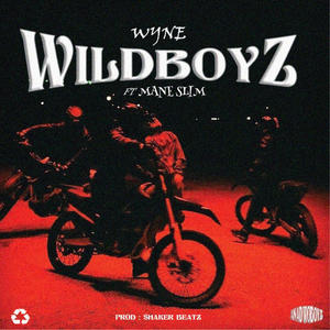 WILDBOYZ (feat. WYNE) [Explicit]