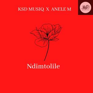 Ndimtolile (feat. Anele M)