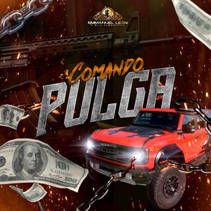 Comando Pulga