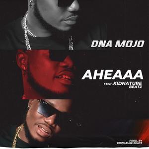 Aheaaa (feat. Kidnature Beatz)