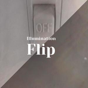 Illumination Flip