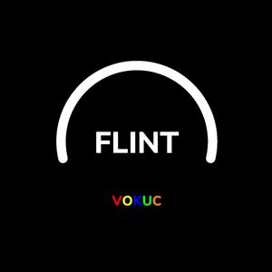 FLINT