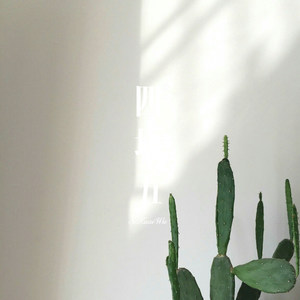 小猪佩奇咚咚锵过年歌 (Remix)