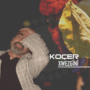 Xwezgînî (2017)