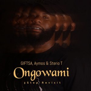Ongowami ( 3Step Revisit )